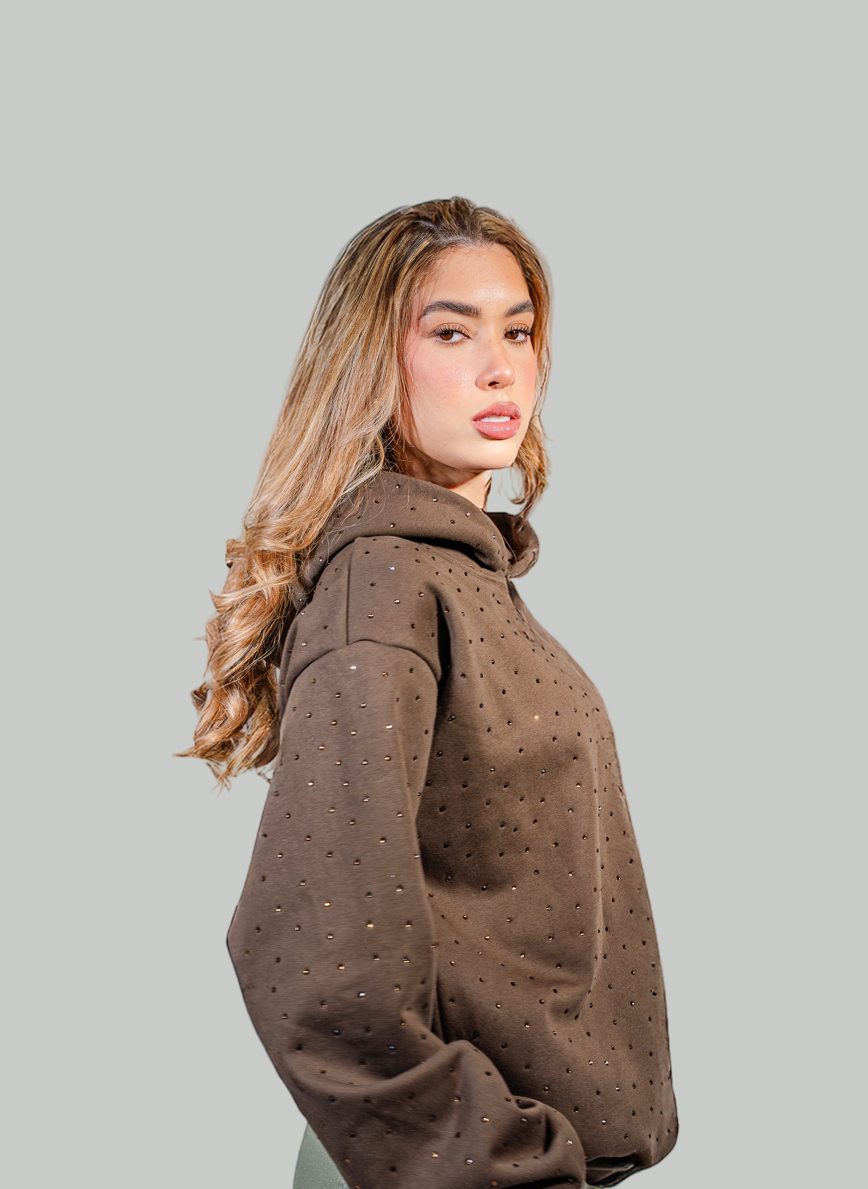 Rhinestone Hoodie (Mocha)