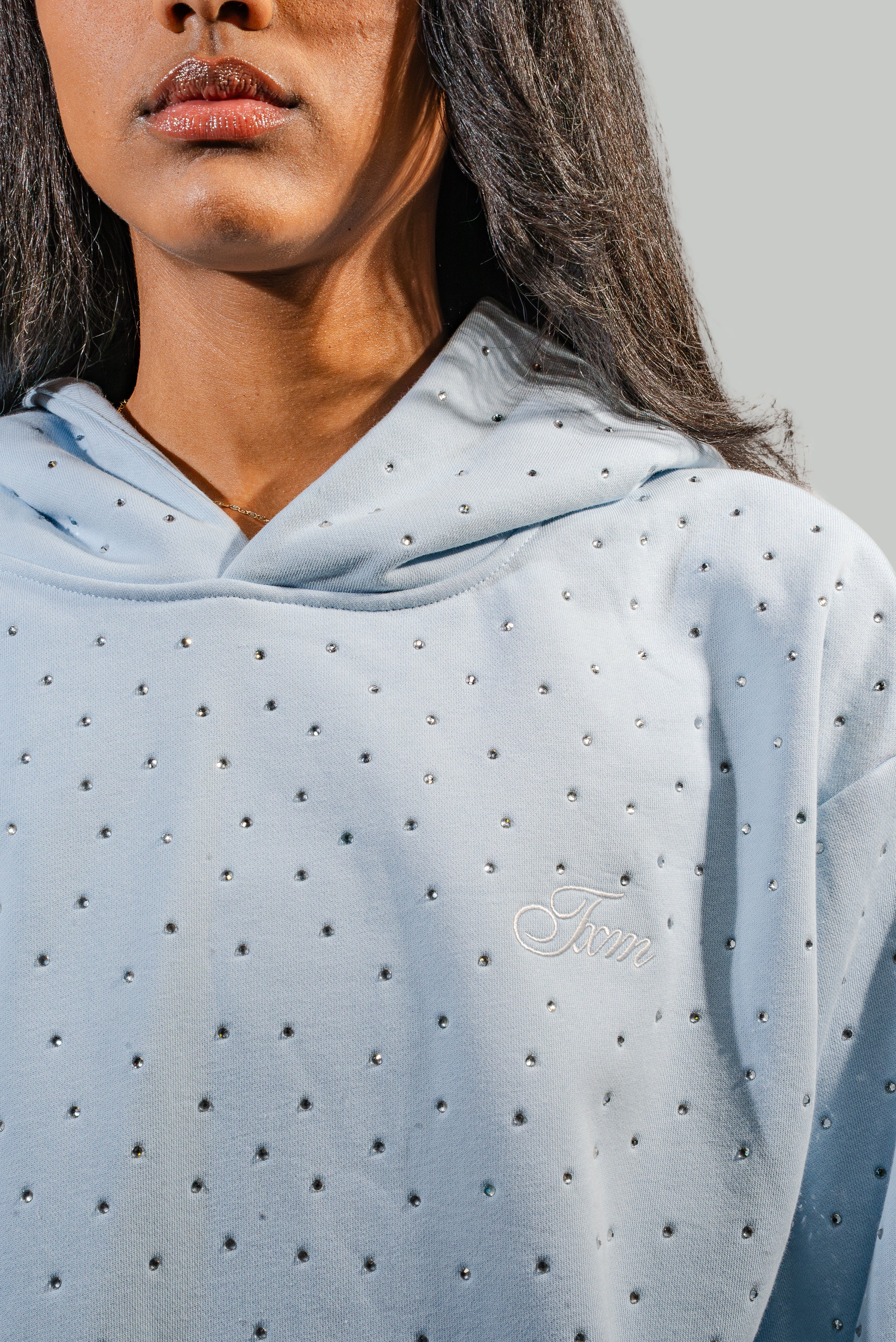 Rhinestone Hoodie (FROST)