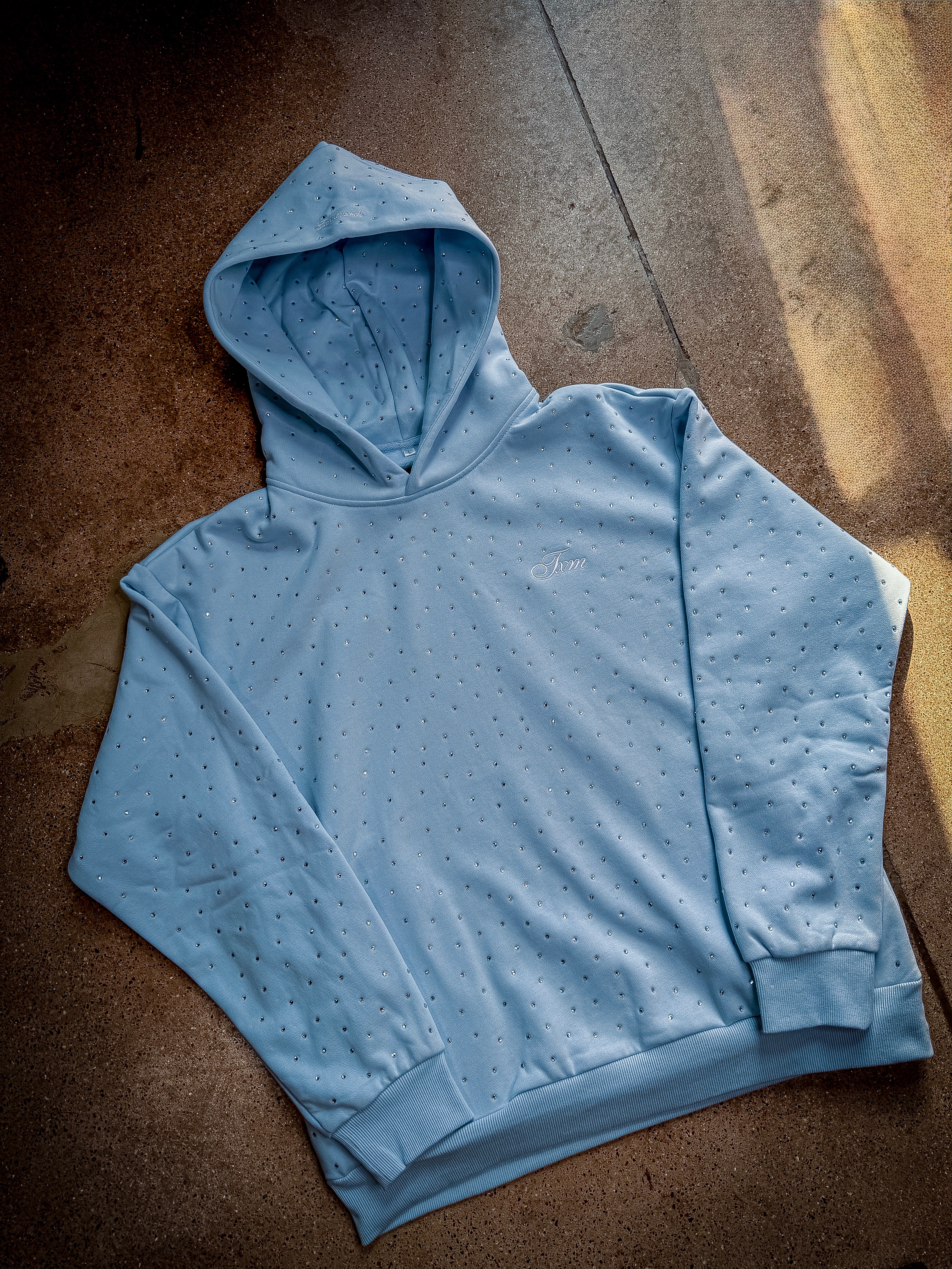 Rhinestone Embroidered Hooded Sweatshirt (FROST BLUE)