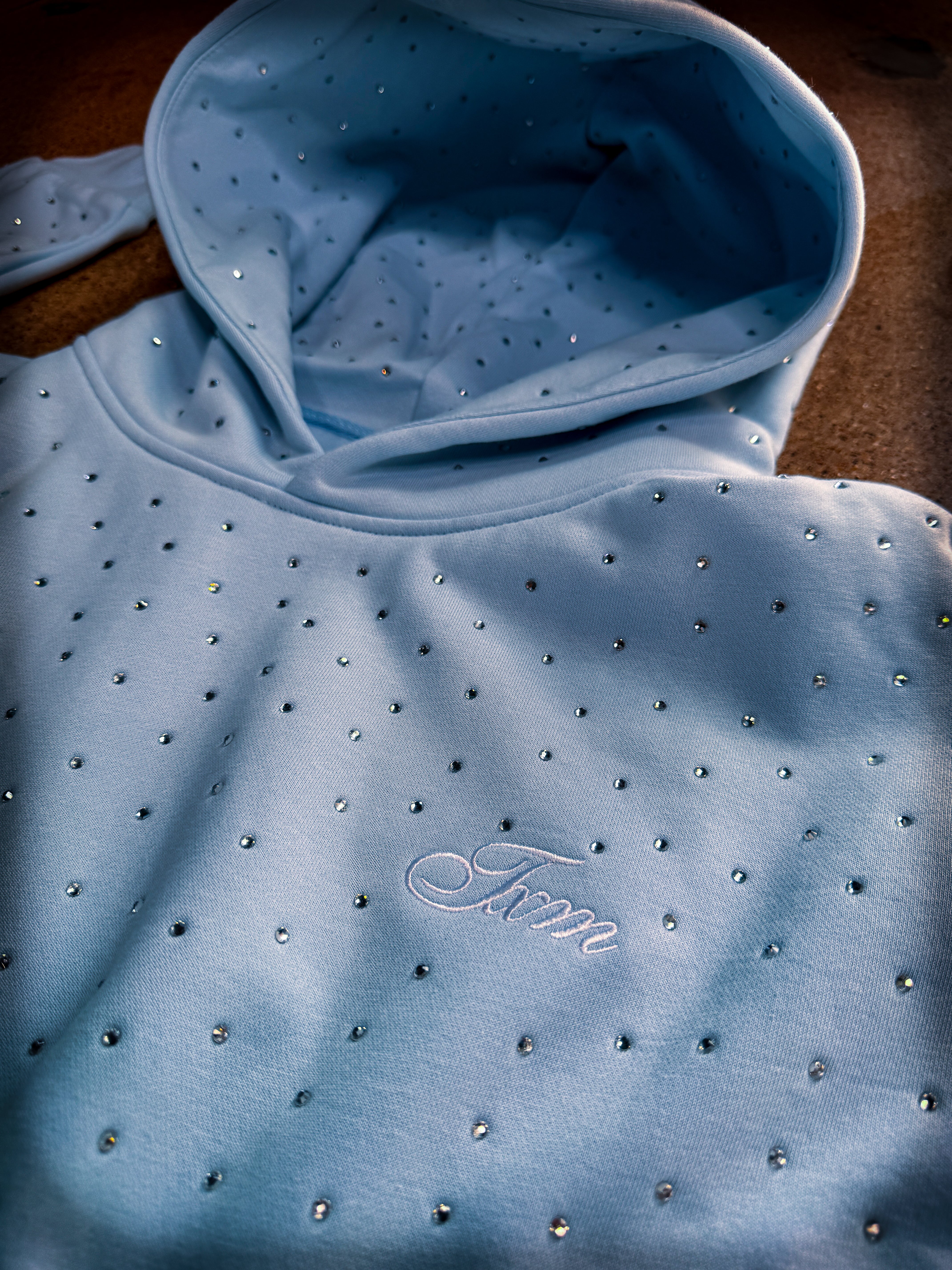 Rhinestone Embroidered Hooded Sweatshirt (FROST BLUE)