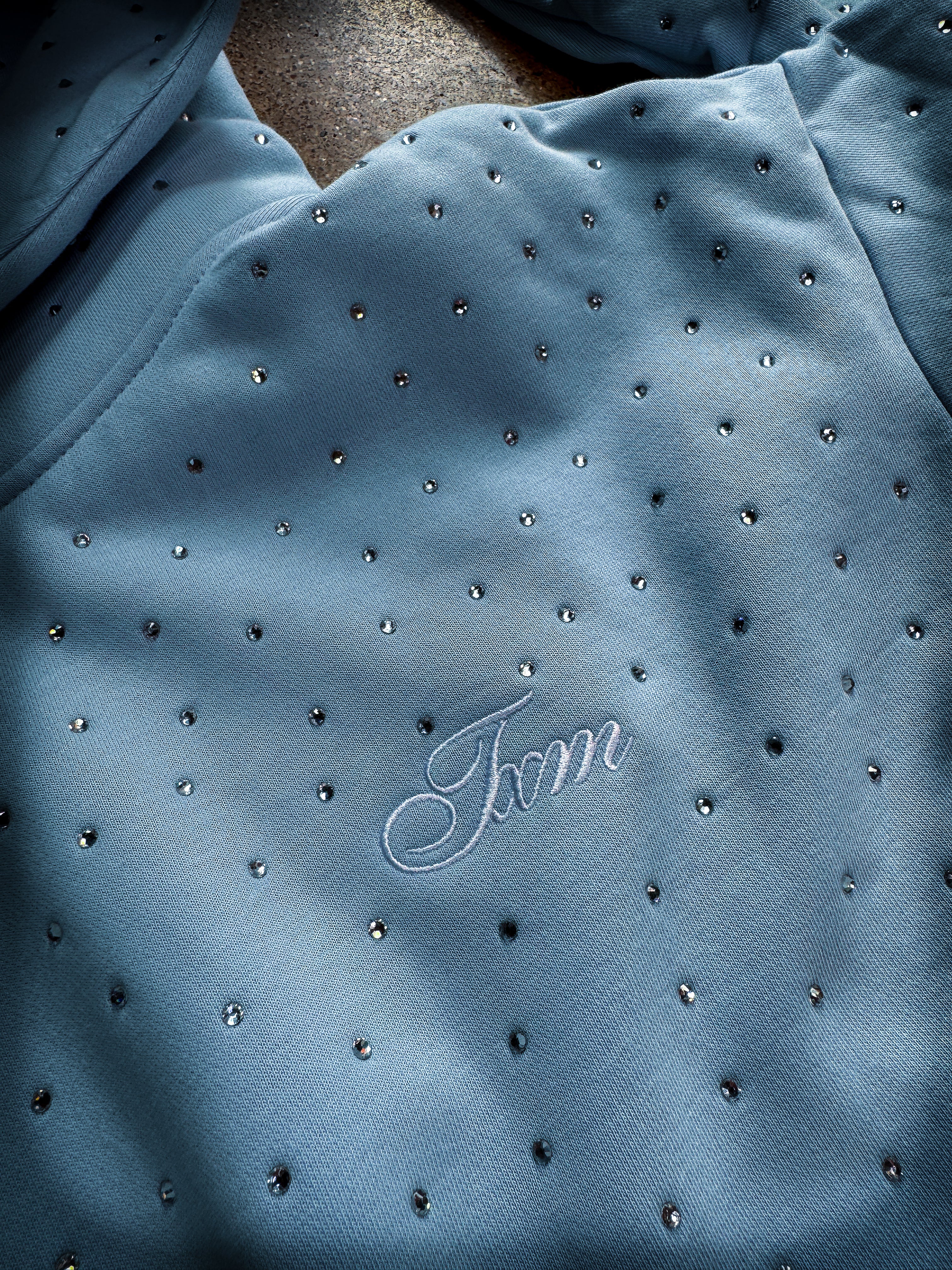 Rhinestone Embroidered Hooded Sweatshirt (FROST BLUE)