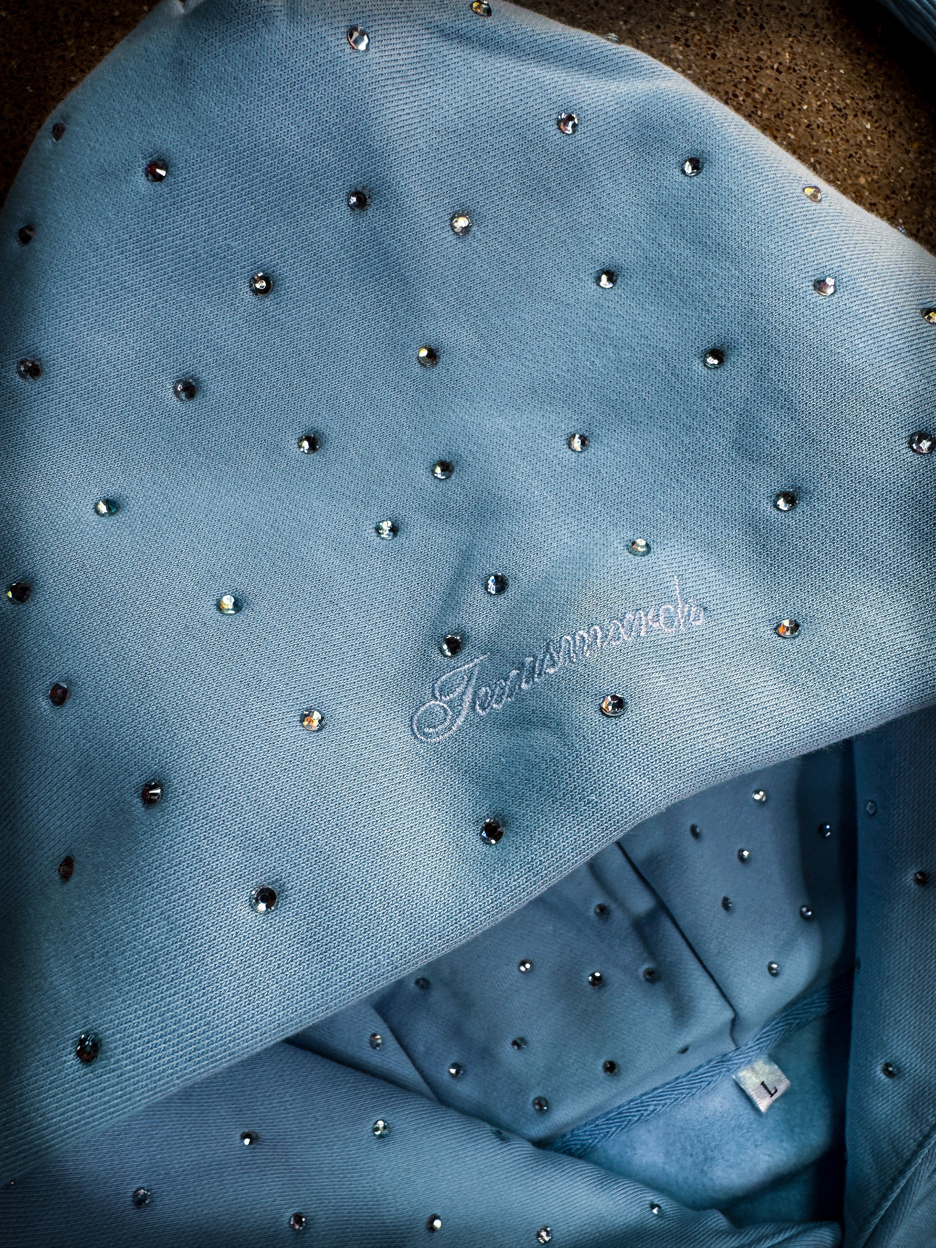 Rhinestone Embroidered Hooded Sweatshirt (FROST BLUE)